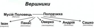 /Files/images/hz3eT0o8cPs.jpg